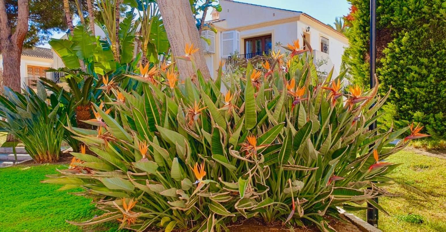 Casa Veranera Vera Costa Playas de Vera Buitenkant foto